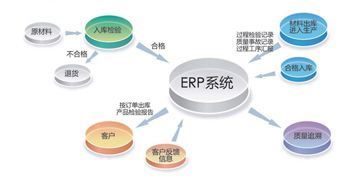 軟件銷售市場動態 創新驅動與數字化轉型成新焦點